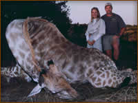 Mamemo Outfitting & Consulting - Frontier Safaris - Giraffe