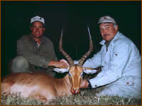 Mamemo Outfitting & Consulting - Frontier Safaris - Impala