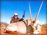 Mamemo Outfitting & Consulting - Frontier Safaris Namibia - Burchells Oryx