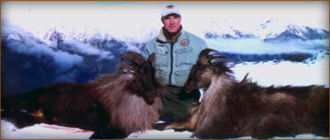 Mamemo Outfitting & Consulting - Glenroy Hunting Lodge - Tahr