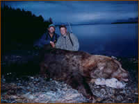 Mamemo Outfitting & Consulting - North Alaska Expeditions - Brown Bear