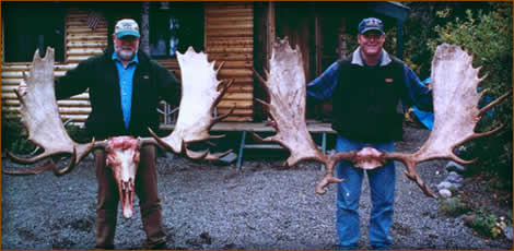 Mamemo Outfitting & Consulting - North Alaska Expeditions - Moose